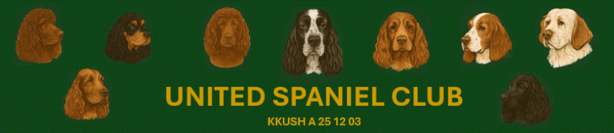 UnitedSpanielClub